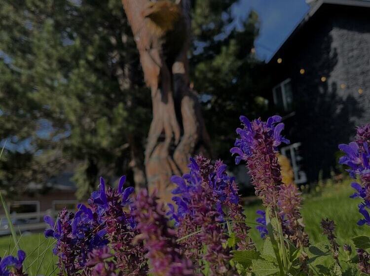 汽车旅馆  Chalet Inn