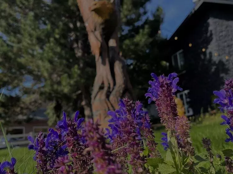 Мотель Chalet Inn