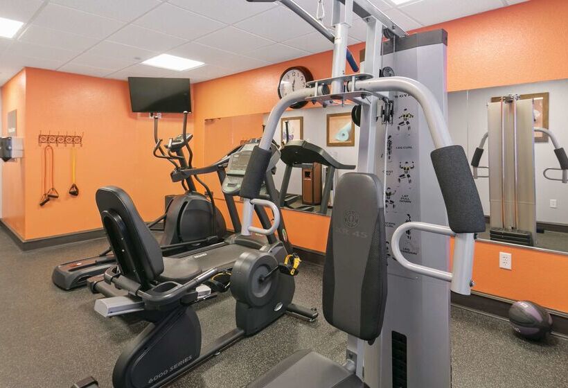 בית מלון כפרי Best Western Harker Heights Killeen