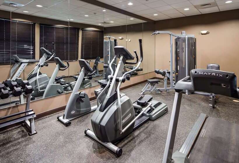Best Western Plus Williston Hotel & Suites