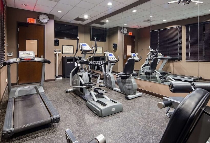 Best Western Plus Williston Hotel & Suites