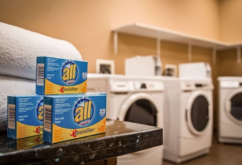 Best Western Plus Williston Hotel & Suites