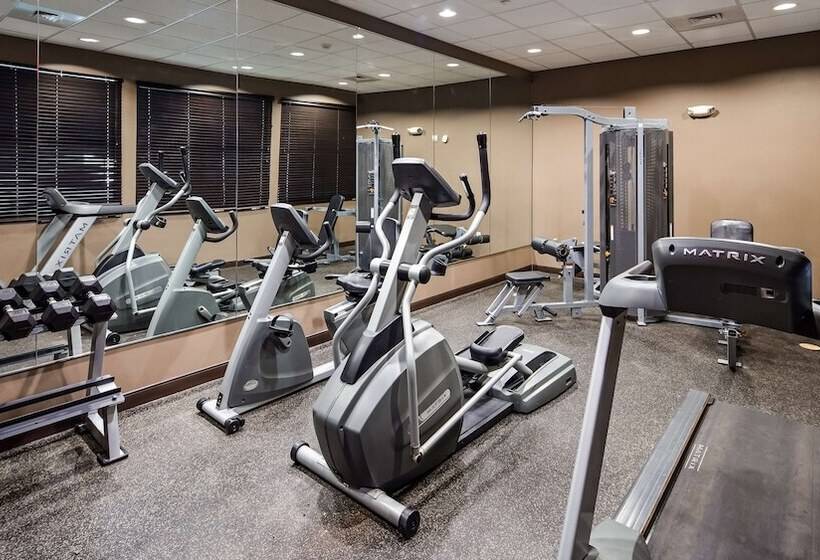 Best Western Plus Williston Hotel & Suites