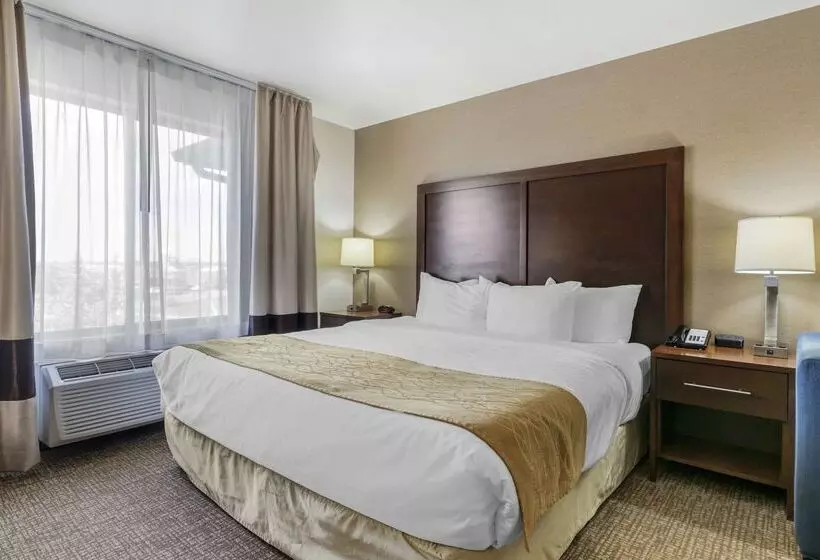 酒店 Comfort Inn & Suites Mitchell I 90