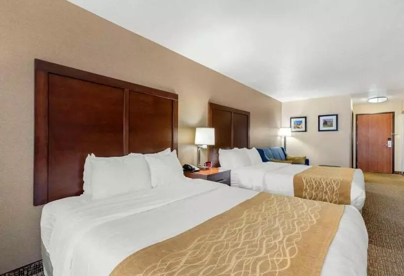 酒店 Comfort Inn & Suites Mitchell I 90