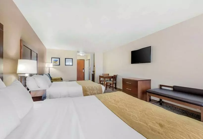 酒店 Comfort Inn & Suites Mitchell I 90