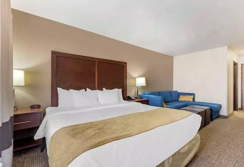 酒店 Comfort Inn & Suites Mitchell I 90