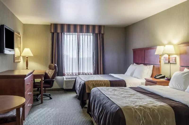 酒店 Comfort Inn & Suites Mitchell I 90