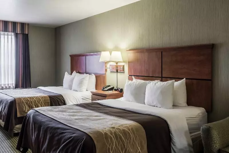 酒店 Comfort Inn & Suites Mitchell I 90