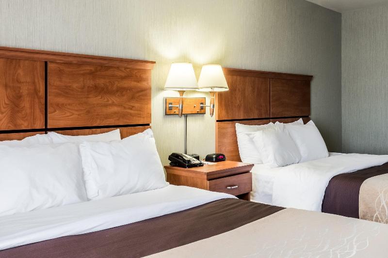 Hotel Comfort Inn & Suites Mitchell I 90