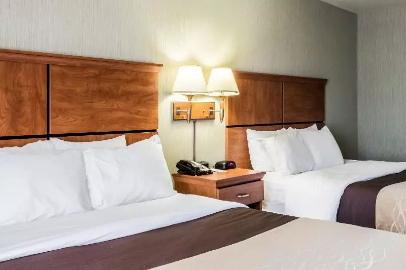 酒店 Comfort Inn & Suites Mitchell I 90