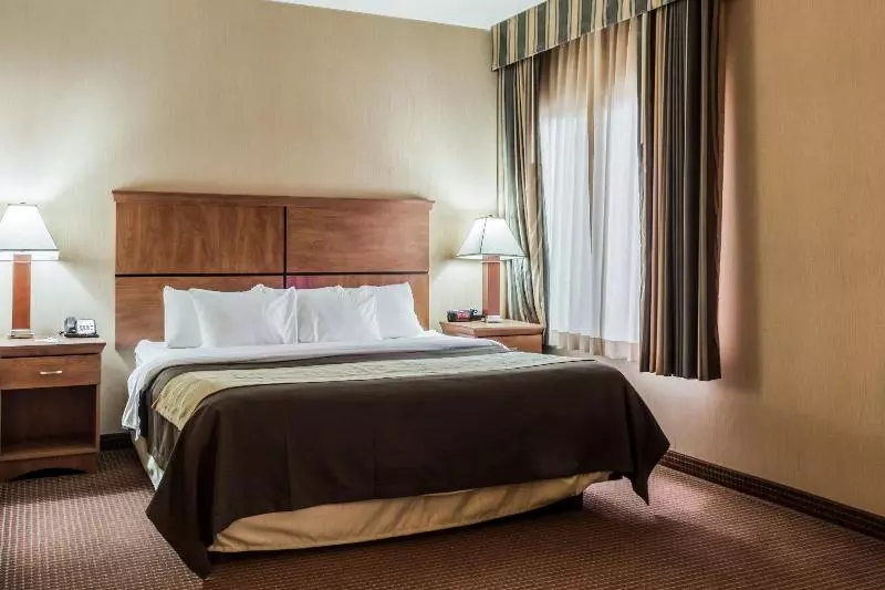 酒店 Comfort Inn & Suites Mitchell I 90