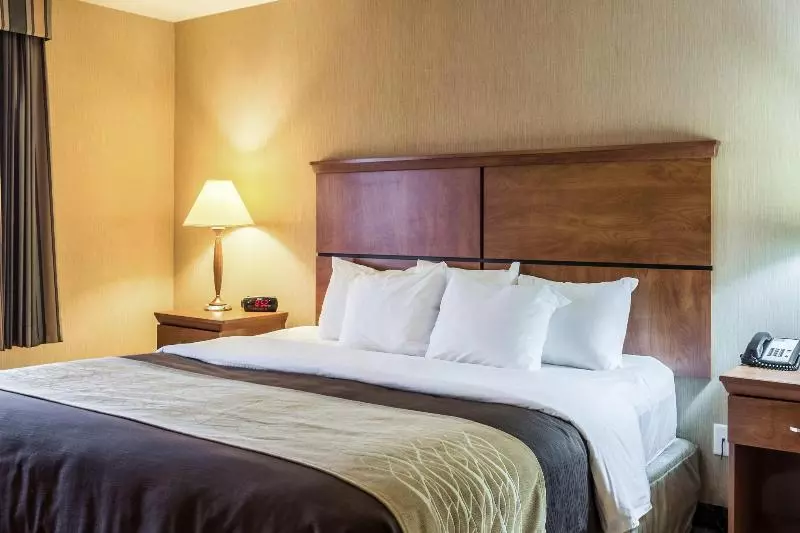 酒店 Comfort Inn & Suites Mitchell I 90