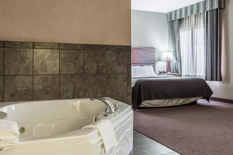 酒店 Comfort Inn & Suites Mitchell I 90