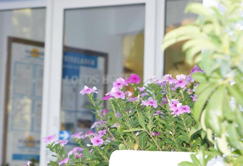 בית מלון כפרי Lofos