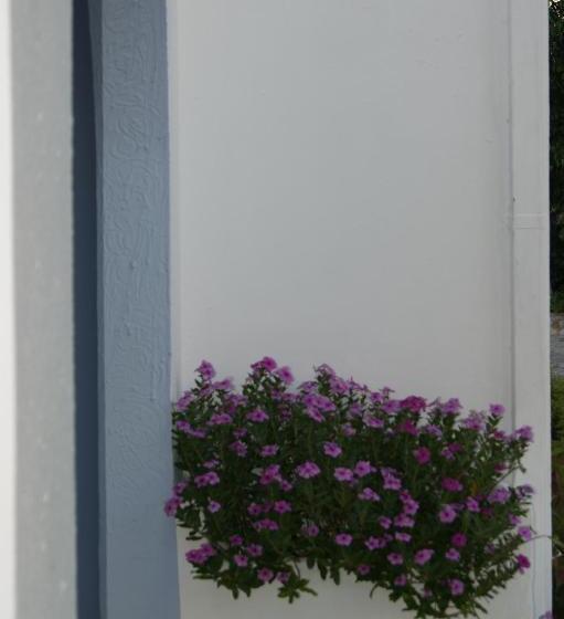 בית מלון כפרי Lofos