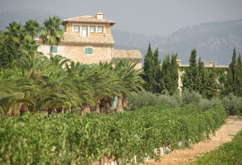 فندق ريفى Sa Cabana Hotel & Spa   Adults Only