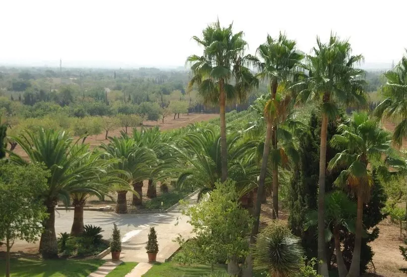 فندق ريفى Sa Cabana Hotel & Spa   Adults Only