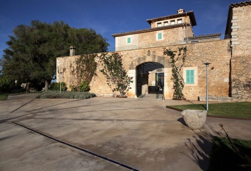 乡村酒店  Sa Cabana Hotel & Spa   Adults Only