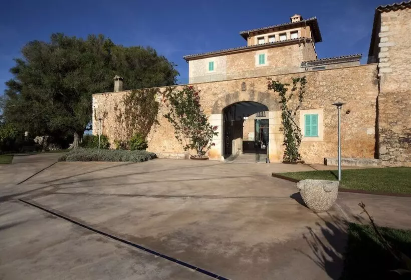 فندق ريفى Sa Cabana Hotel & Spa   Adults Only