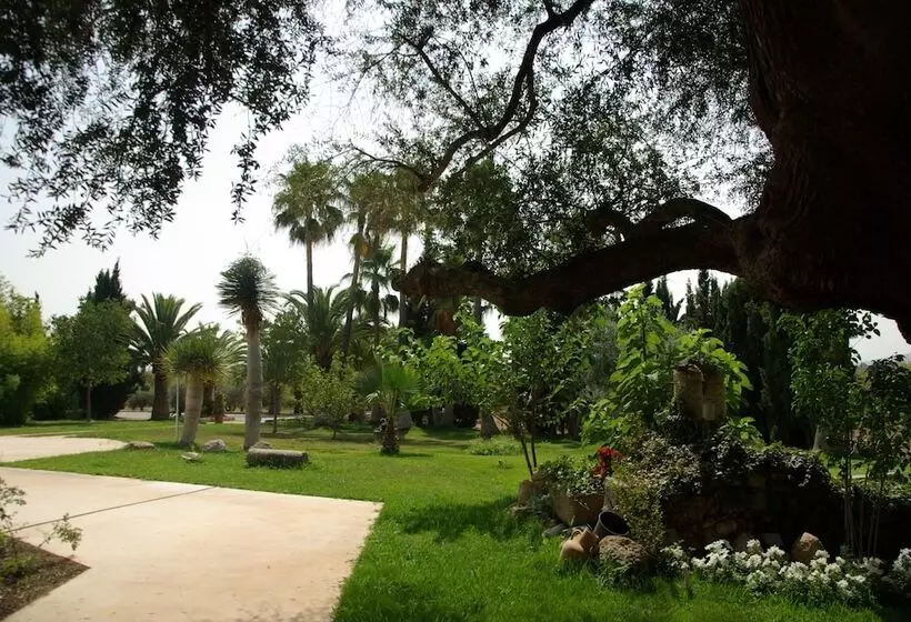 فندق ريفى Sa Cabana Hotel & Spa   Adults Only