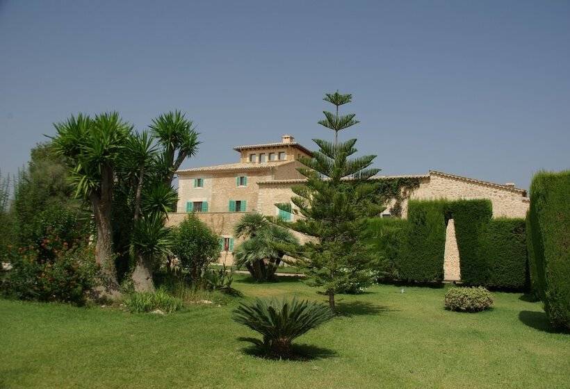 乡村酒店  Sa Cabana Hotel & Spa   Adults Only