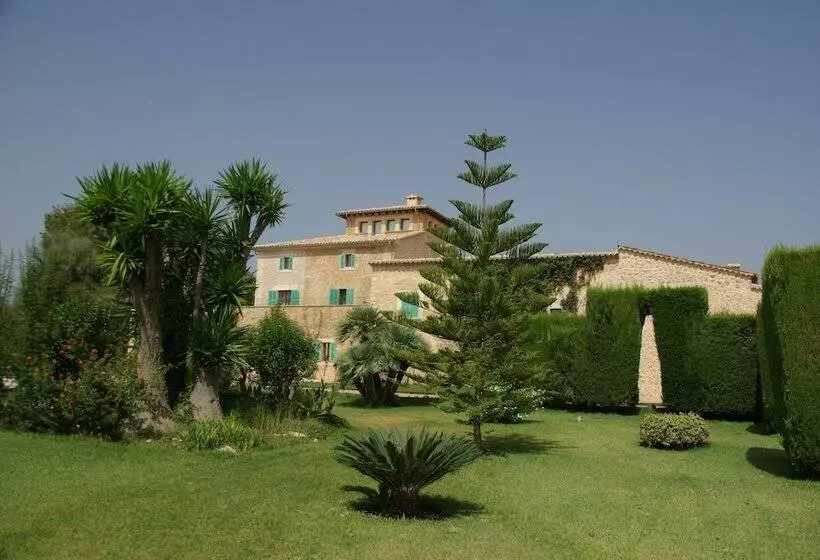 فندق ريفى Sa Cabana Hotel & Spa   Adults Only