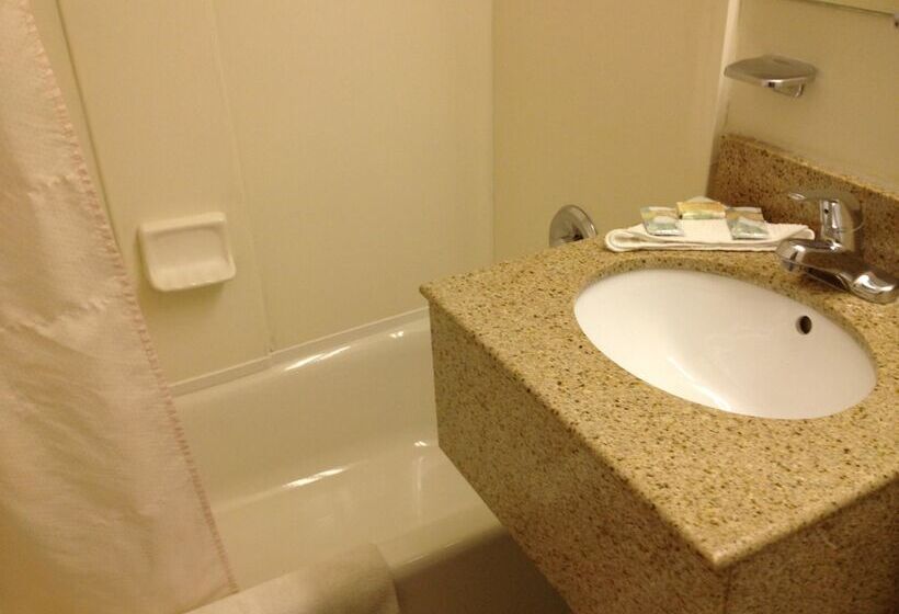 汽车旅馆 Budget Inn Falls Church