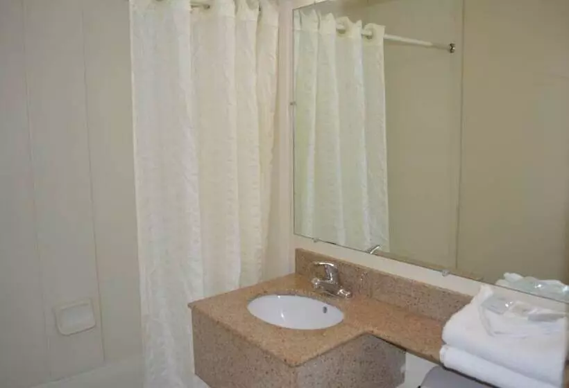 מוטל Budget Inn Falls Church