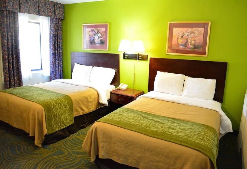 汽车旅馆 Budget Inn Falls Church