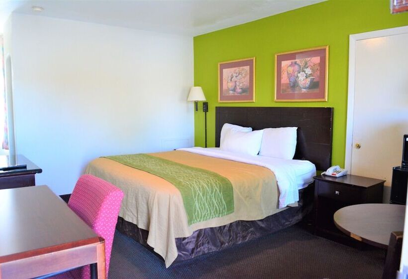 汽车旅馆 Budget Inn Falls Church