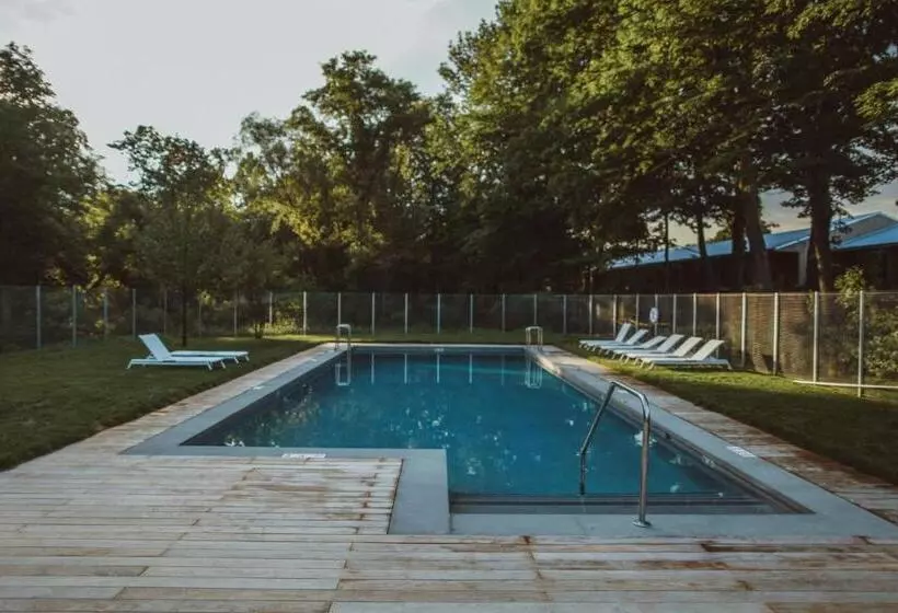 汽车旅馆 Tourists