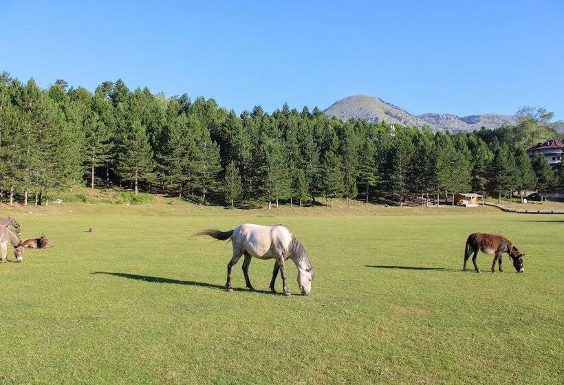 Natyral Razma Resort