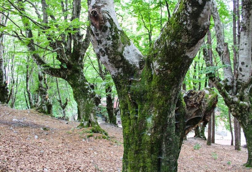 Natyral Razma Resort