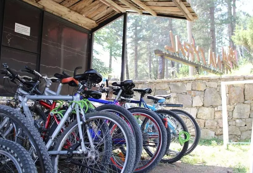 Natyral Razma Resort