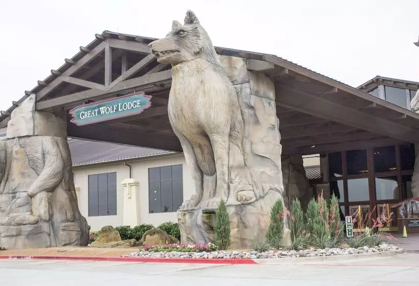 Курорт Great Wolf Lodge Grapevine