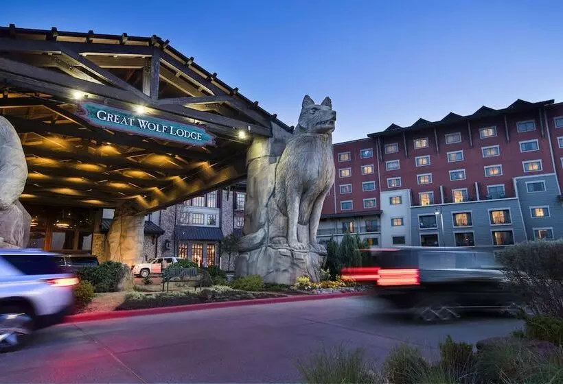 Курорт Great Wolf Lodge Grapevine
