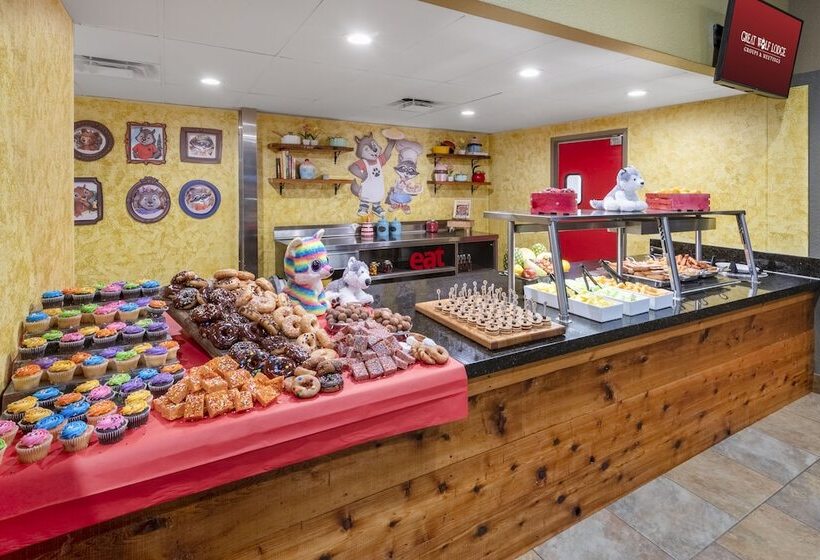 منتجع Great Wolf Lodge Grapevine