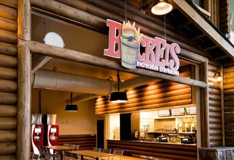 Курорт Great Wolf Lodge Grapevine