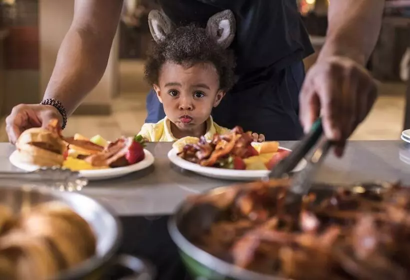 Курорт Great Wolf Lodge Grapevine