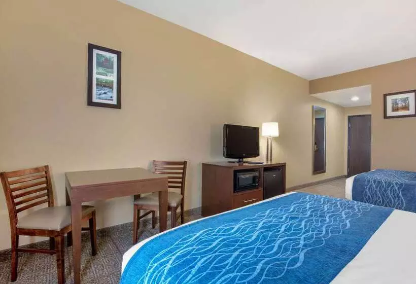 ホテル Comfort Inn Us 60 63