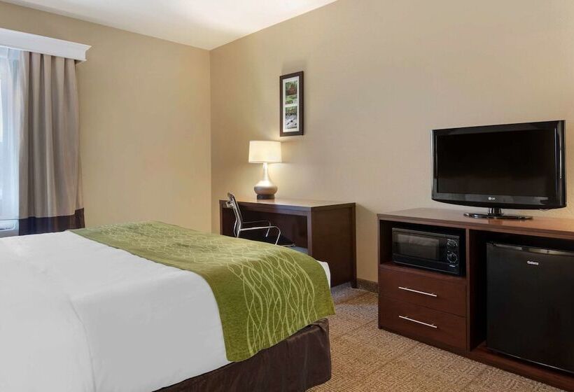 בית מלון כפרי Comfort Inn Us 60 63