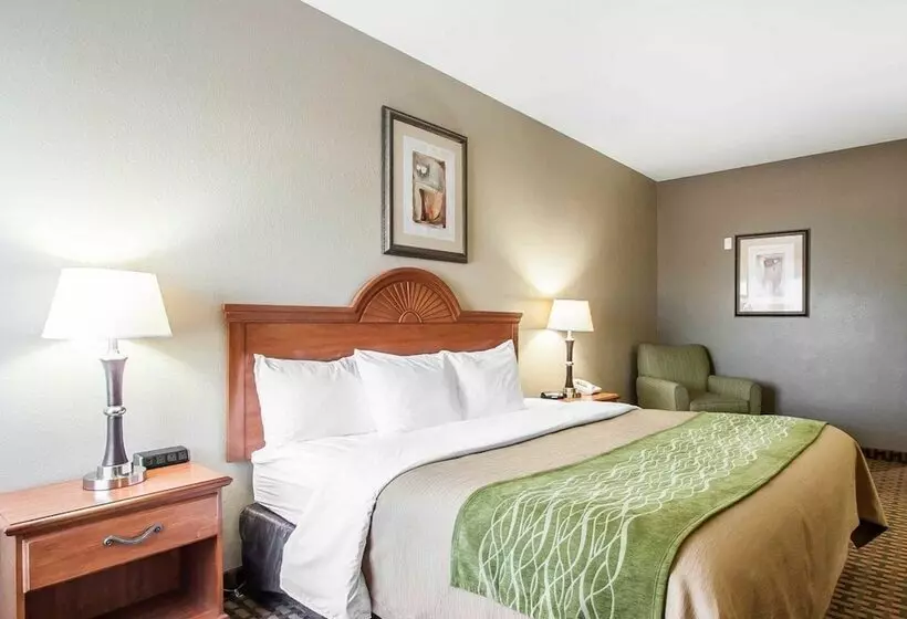 ホテル Comfort Inn Us 60 63