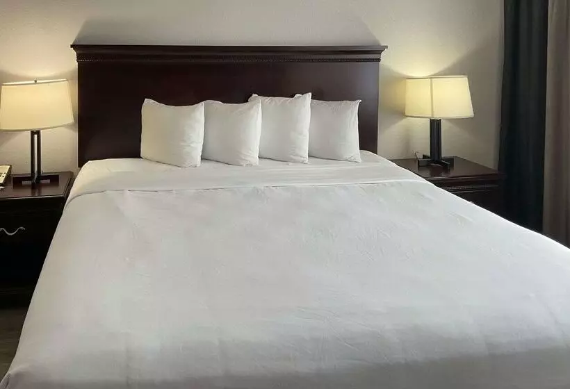 酒店 Country Inn & Suites By Radisson, Tallahassee University Area, Fl