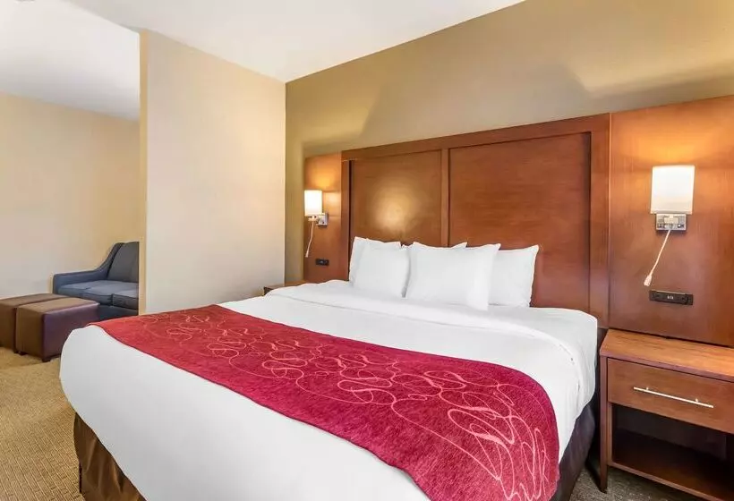 فندق Comfort Suites South Point  Huntington
