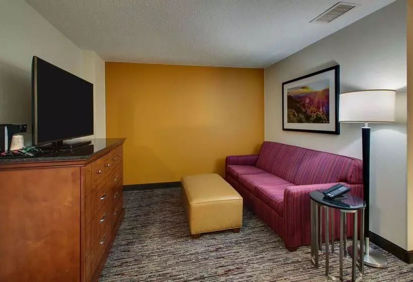 酒店 Drury Inn & Suites Charlotte Northlake