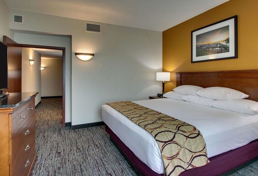 בית מלון כפרי Drury Inn & Suites Charlotte Northlake