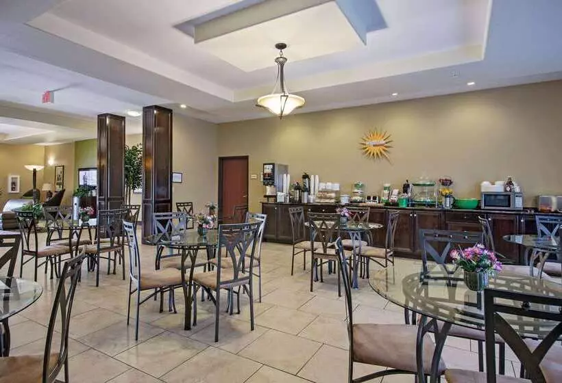酒店 Comfort Inn & Suites New Iberia   Avery Island