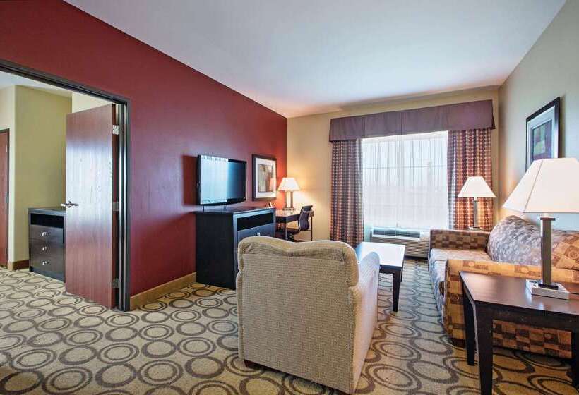 酒店 Comfort Inn & Suites New Iberia Avery Island