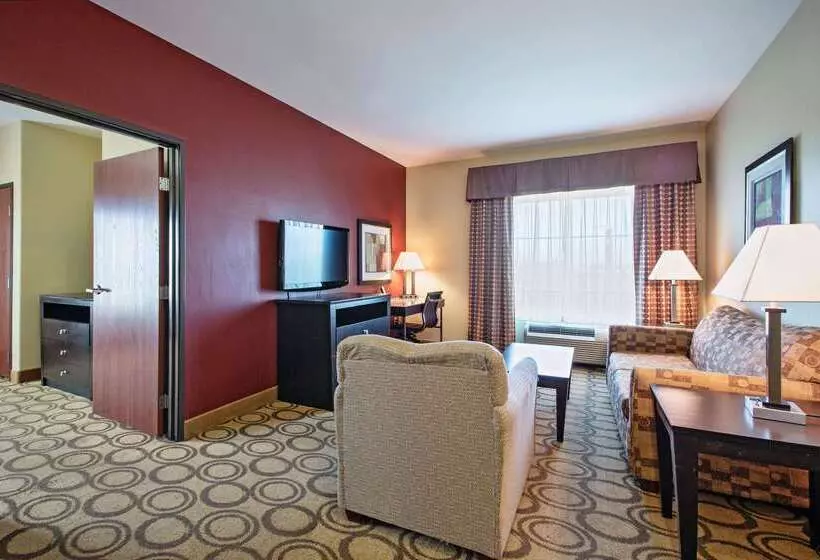 酒店 Comfort Inn & Suites New Iberia   Avery Island